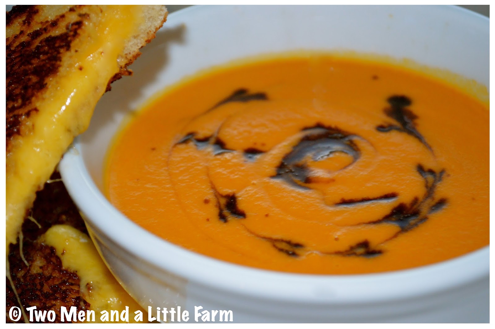 Two Men and a Little Farm VITAMIX FRESH TOMATO SOUP WITH GRILLED CHEESE