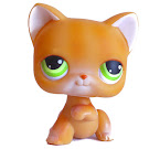 Littlest Pet Shop Singles Cat Shorthair (#11) Pet Littlest Pet Shop Singles Cat Shorthair (#11) Pet