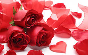 valentine’s-rose-day