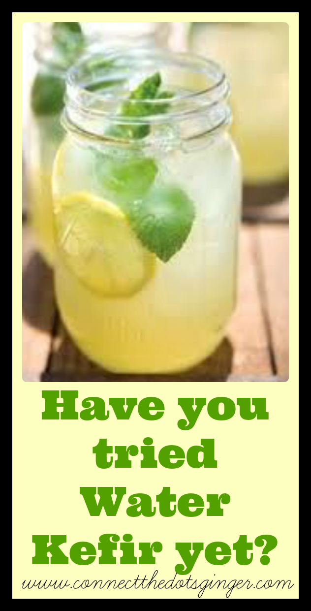 Connect the Dots Ginger Becky Allen Water Kefir