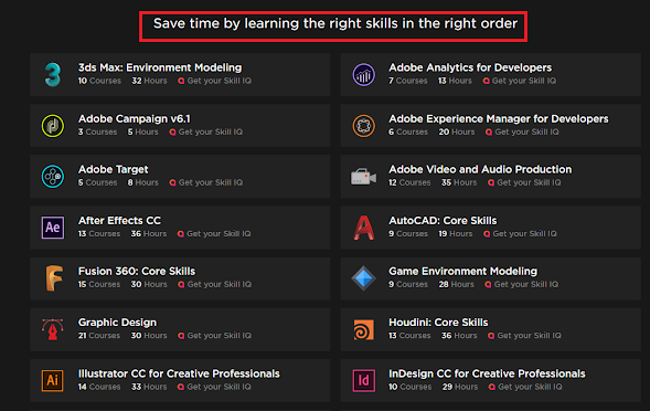 Pluralsight review for Programmers