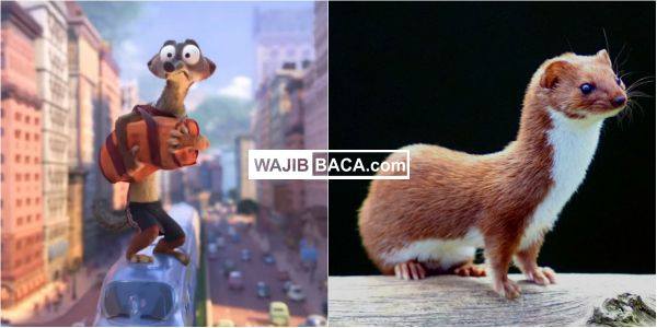 Imutnya Sama! Beginilah Sosok Versi Asli Hewan Di Film Zootopia Imutnya Sama! Beginilah Sosok Versi Asli Hewan Di Film Zootopia