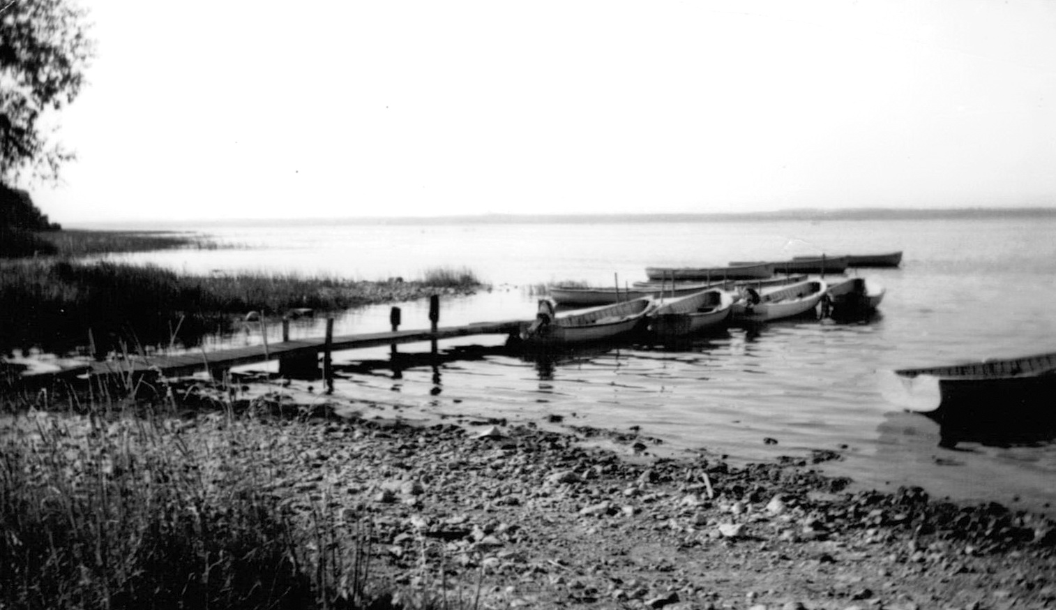 Ribbons and Lines Blueberry Days, Oneida Lake, NY