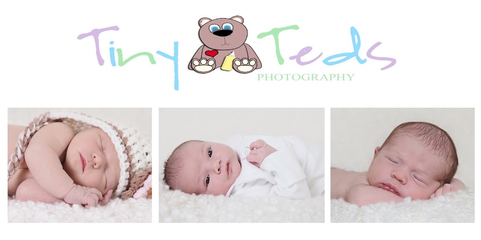 Tiny Teds photography - Dundee