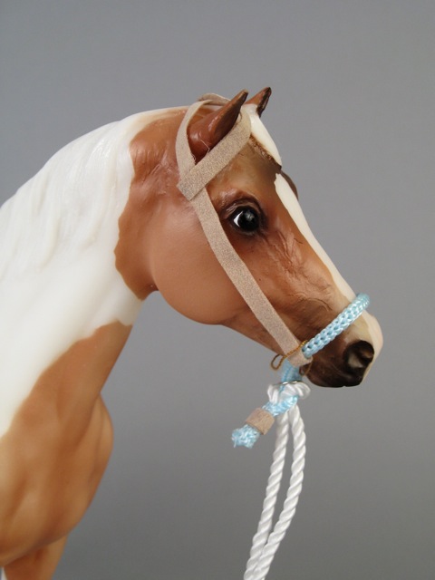 My Favorite Horse 