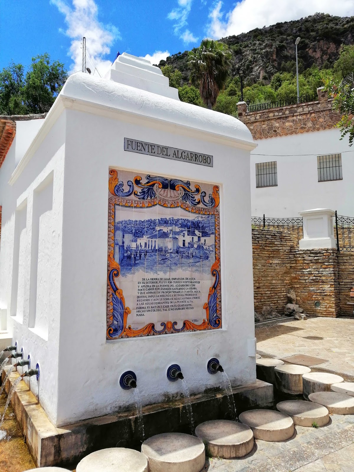 Foto de Museo de Algodonales en Algodonales, Cádiz