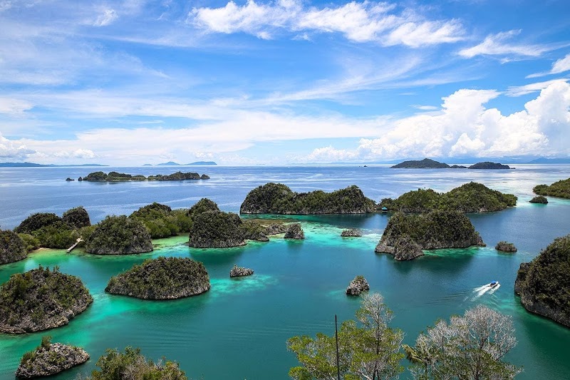 20+ Tempat Wisata Papua, Ide Terpopuler!