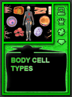 Body Cell Types Online