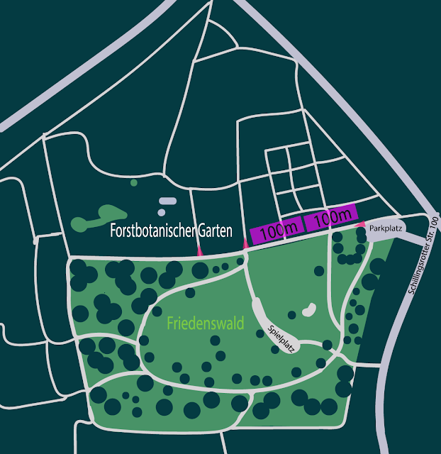 Infos Friedenswald Köln