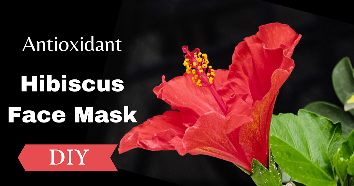 Antioxidant Hibiscus Clay Face Mask My favourite works