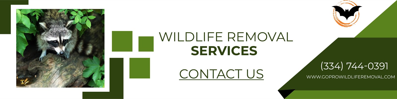 Go Pro Wildlife Removal Services Provide The Best Gimmick-free