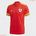 Wales 2020-21 Home Kit Leaked