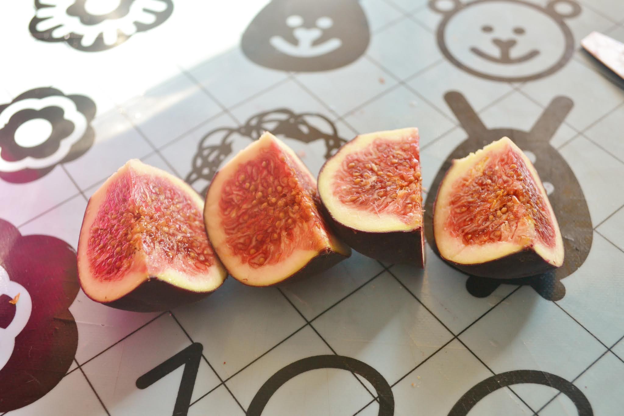 Recipe Homemade Fig Newtons from Fresh Figs