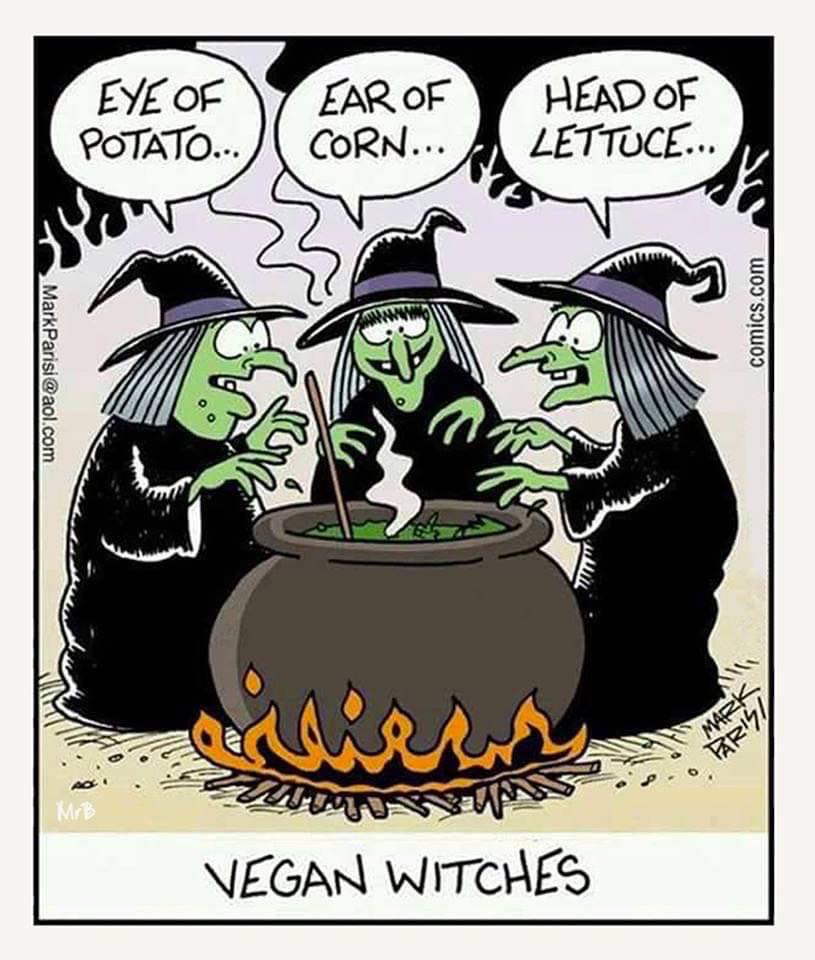 Skip's House of Chaos Vegan Witches