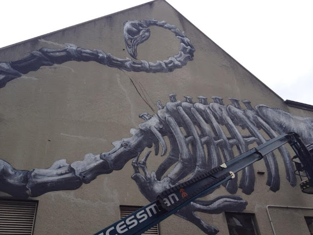 Work In Progress by ROA For Rise Street Art Festival In Christchurch, New Zealand. 2
