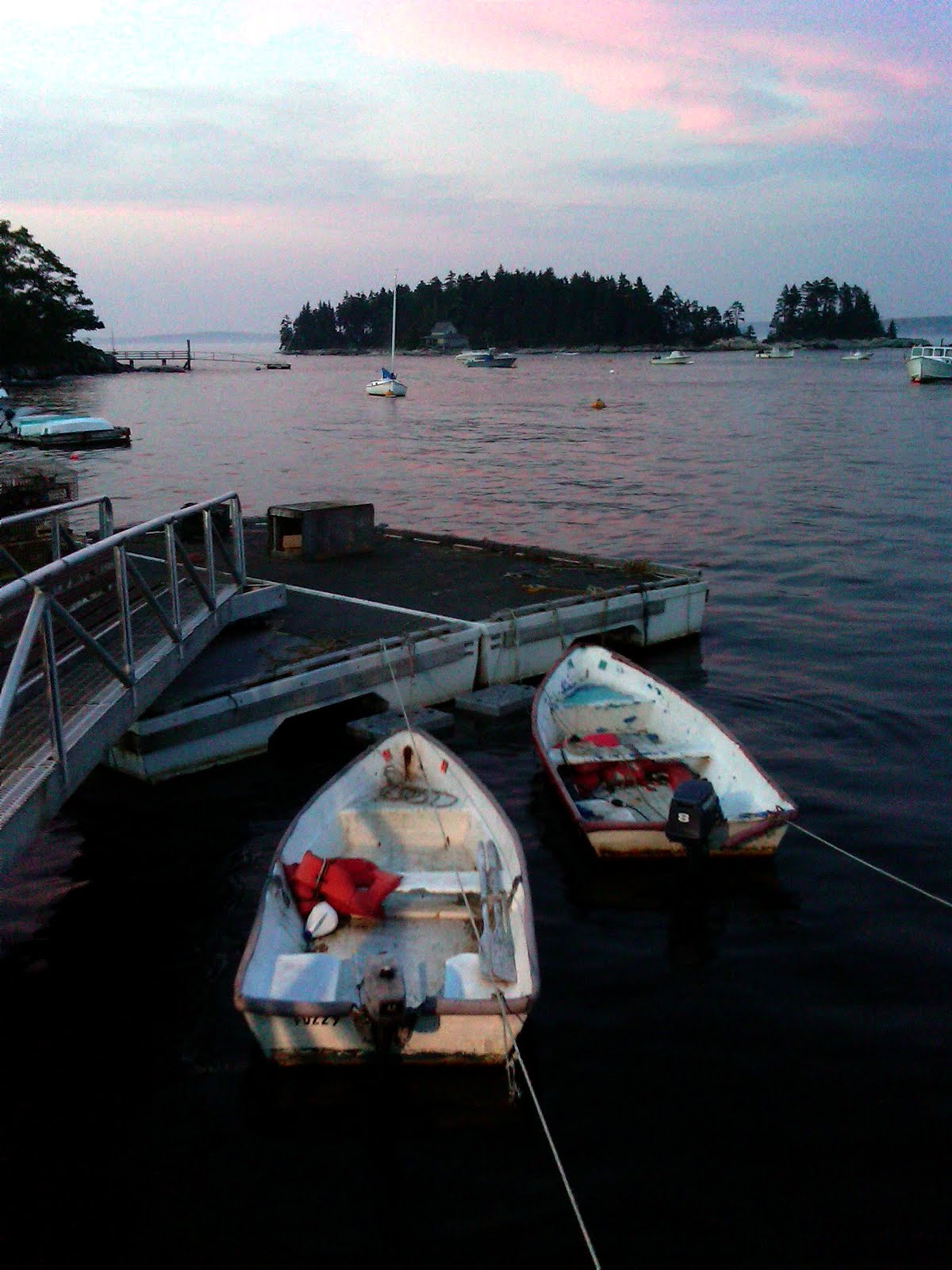 Energy Policy Update July 14, 2011 Maine tidal power navigates the