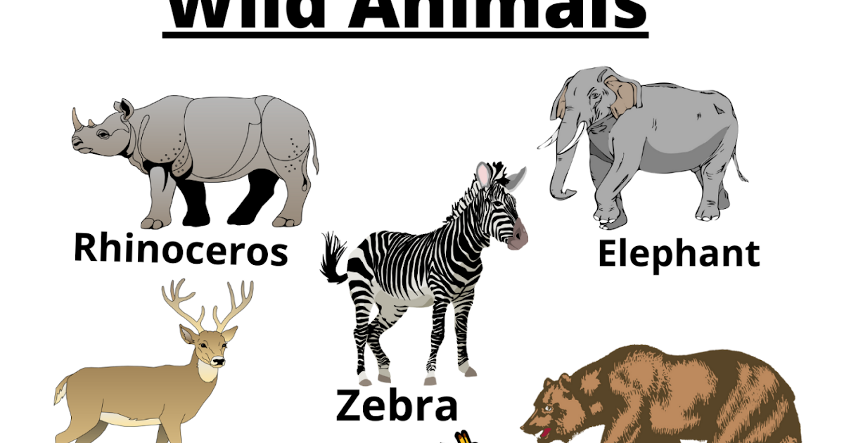 Worksheet4All: Kindergarten Animal Worksheet | Domestic Animal | Wild  Animals