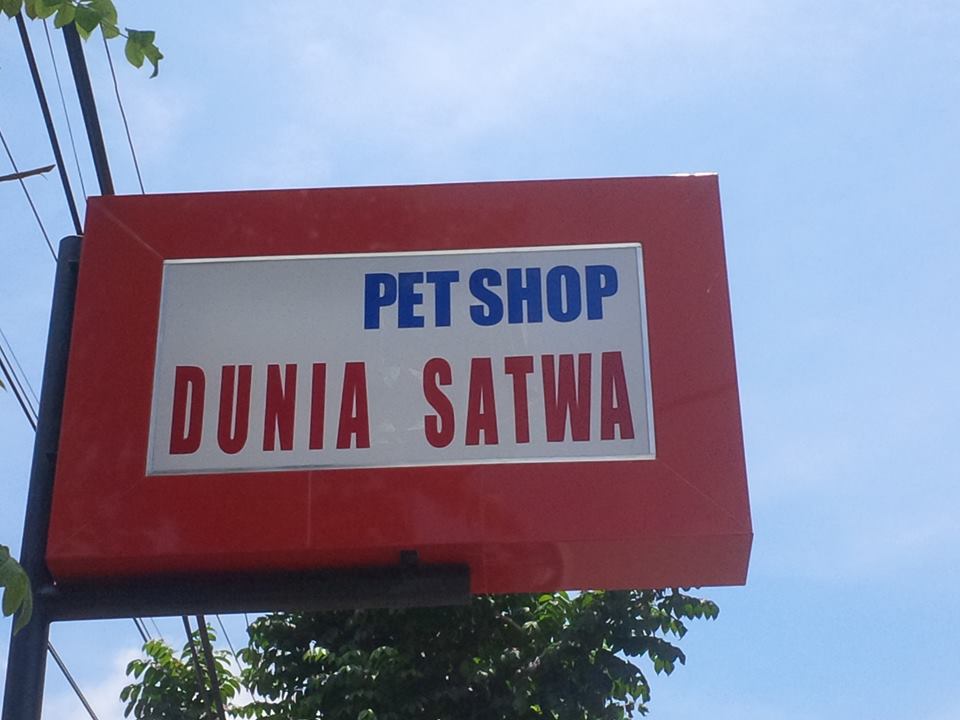 "DUNIA SATWA" Mengenal "DUNIA SATWA"