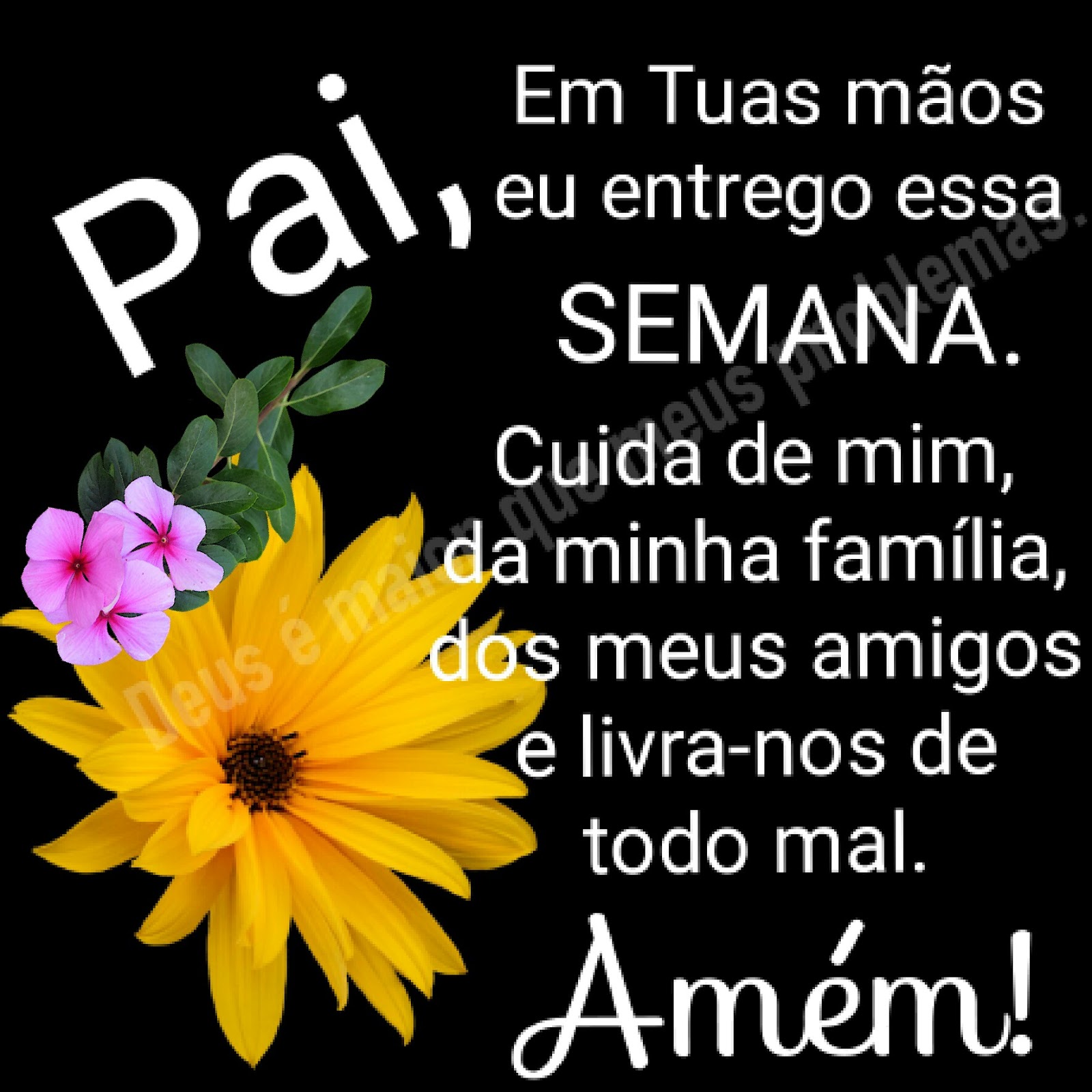 Nenhuma descrição disponível.