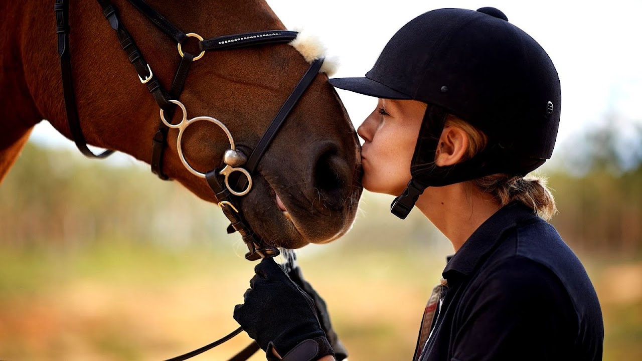 Pet Insurance Horse Horse Choices