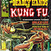 Deadly Hands of Kung Fu #1 - Neal Adams cover, Jim Starlin art + 1st issue