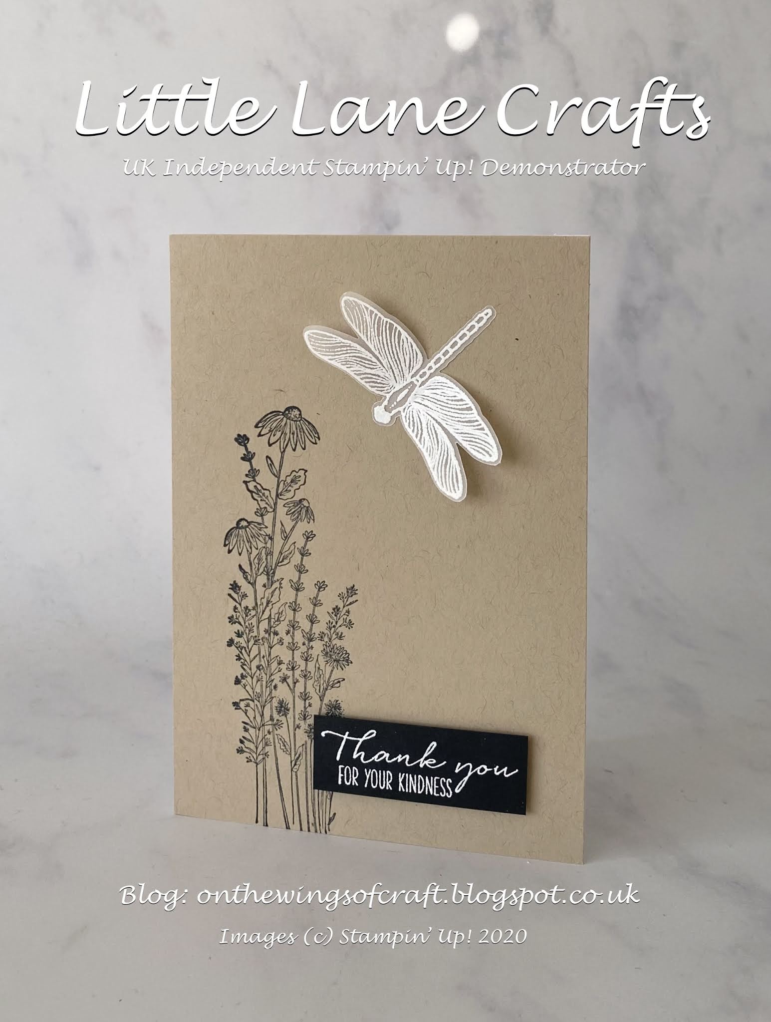 On The Wings of Craft Dragonfly Garden from Stampin' Up!