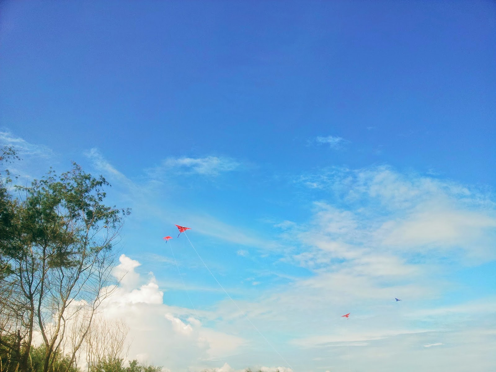 Kites on the sky of Kwaru the beach in Bantul, Jogja