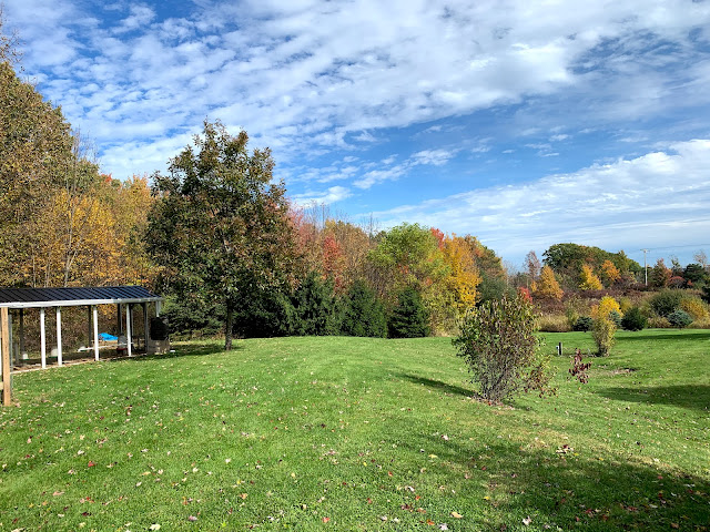 Ruple Farms - fall foliage 2019