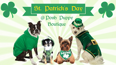 Cute Clothes For St. Patty's Cute Clothes For St. Patty's