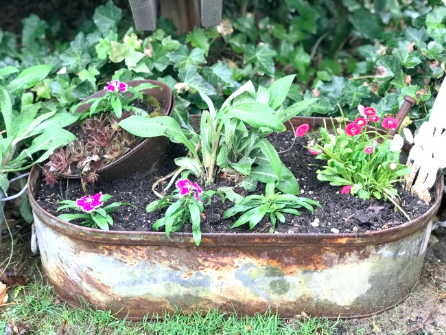 Repurposed Planter Ideas for the Garden