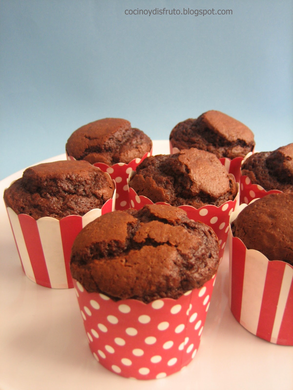 cocino y disfruto MUFFINS DE CHOCOLATE