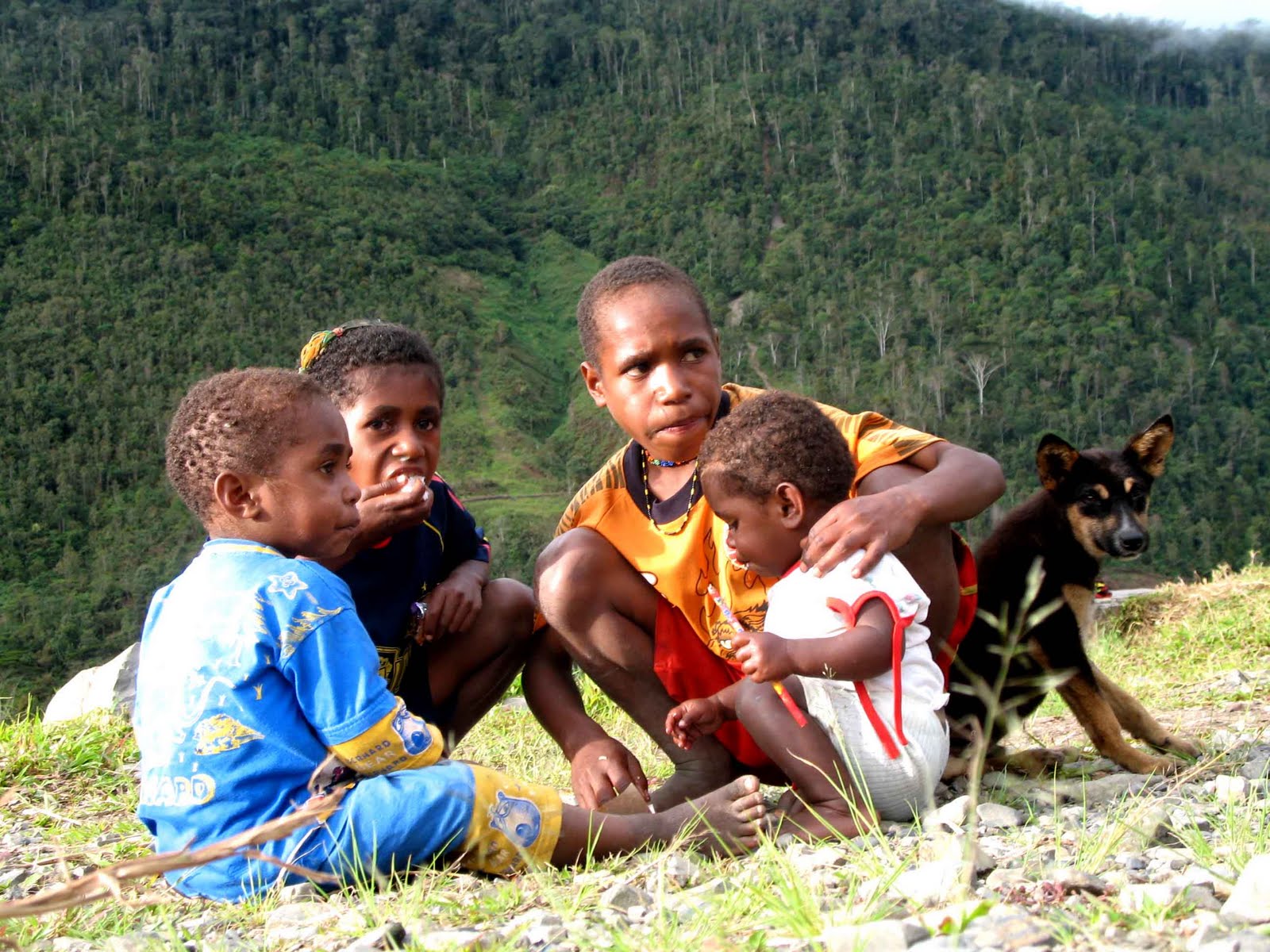 Foto Foto Lucu Orang Papua