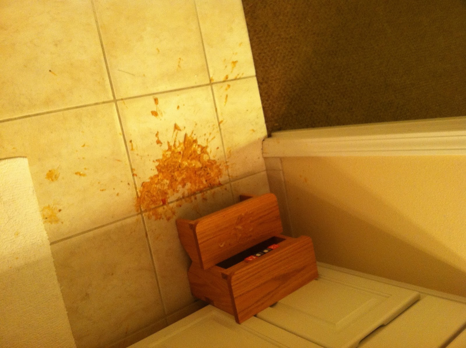 BLISS Vomit, Poop, and Laundry