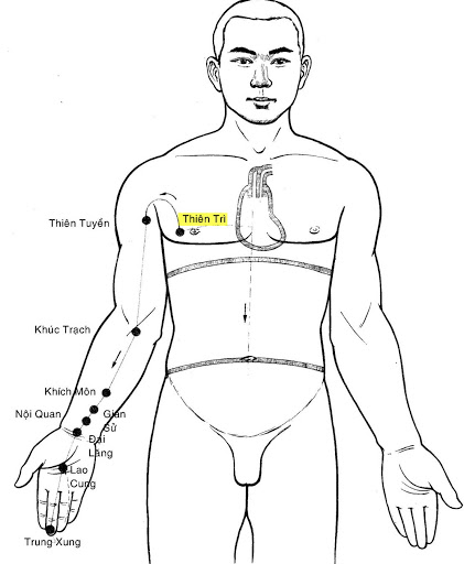 Vị trí huyệt thiên trì