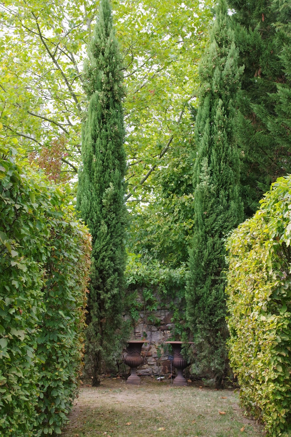 Le jardin des couronnes : Les Langottières