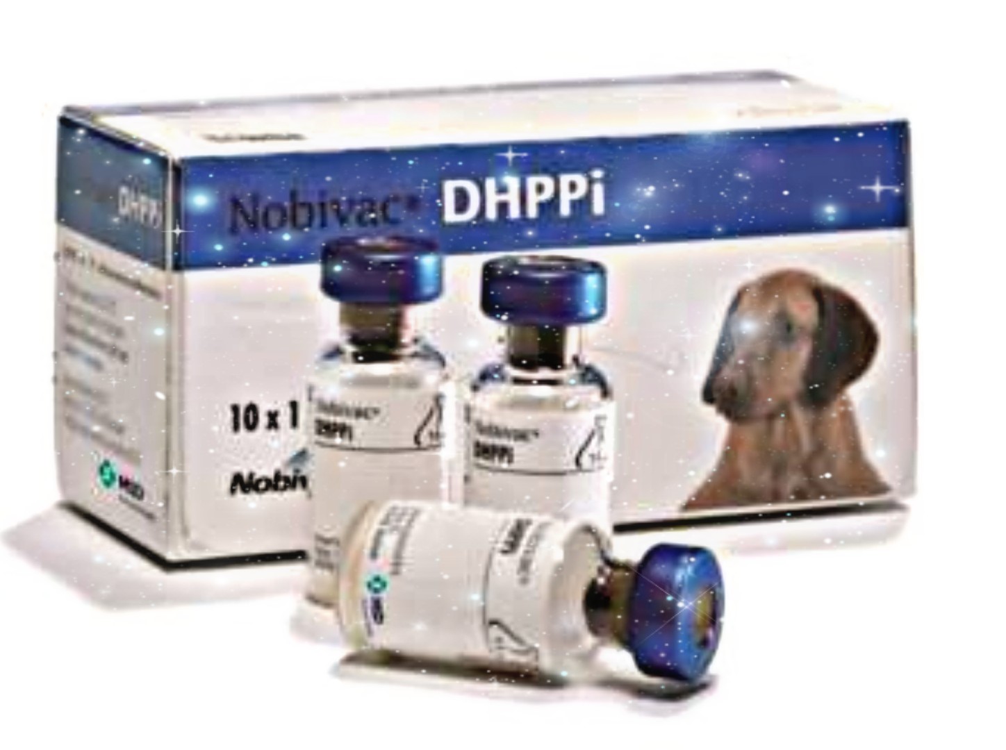 Вакцина нобивак цена. Нобивак DHPPI + L для щенков. Нобивак DHPPI RL для собак. Комплексная вакцина для собак Нобивак. Вакцина Нобивак для собак чумы.