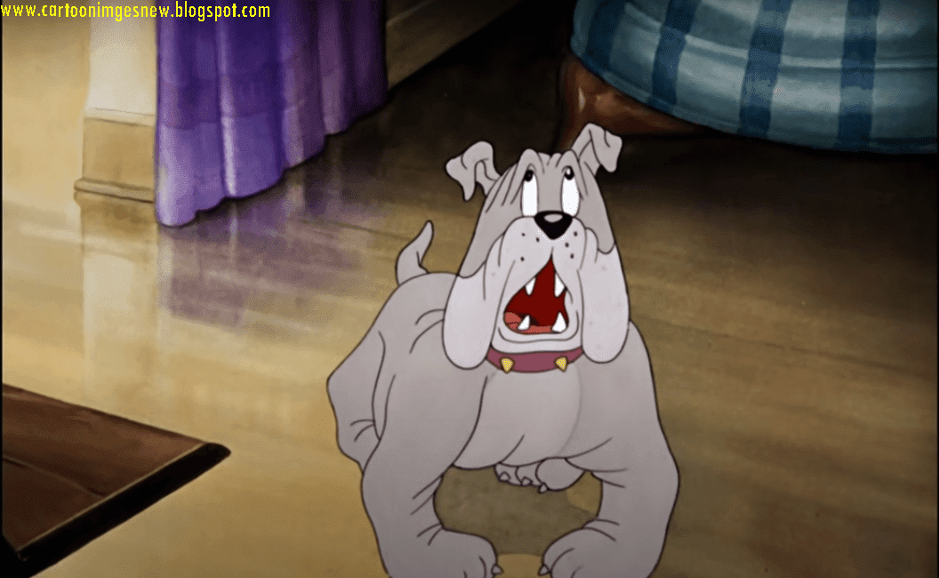 Best Tom and Jerry PNG Images