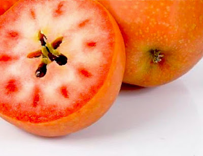 Strawberry Fruit Fruits In The World