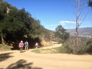 View north on Fern Canyon Trail, Griffith Park, Los Angeles, February 15, 2016