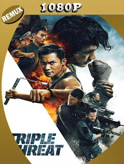 Triple amenaza (Triple Threat) (2019) REMUX [1080p] Latino [GoogleDrive] SXGO