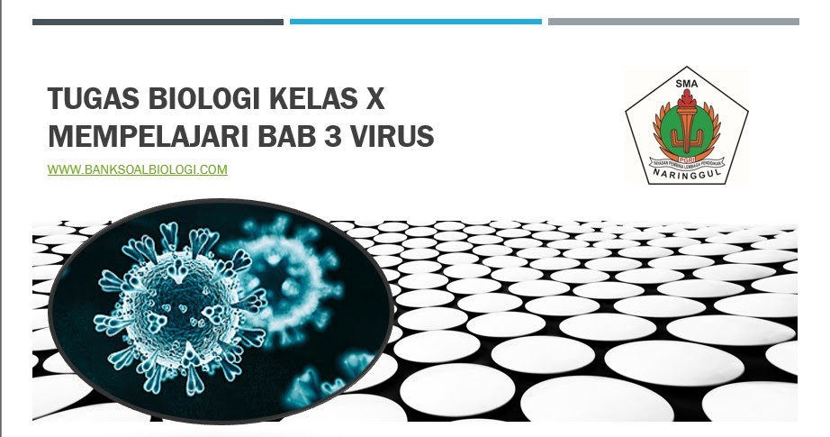 Tugas Biologi Kelas X Mempelajari Bab 3 VIrus - BSB