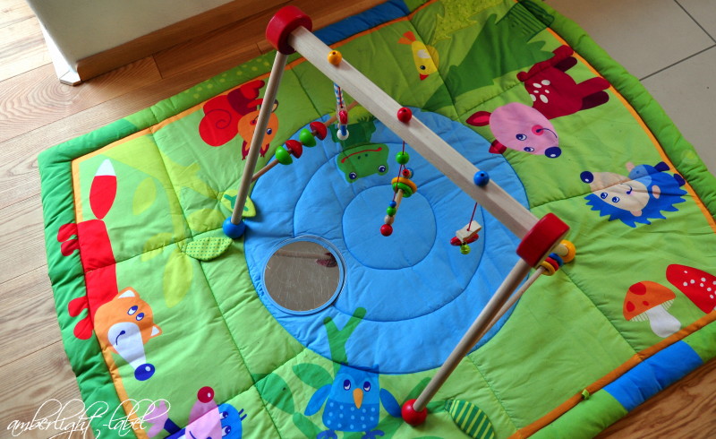 eichhorn baby gym