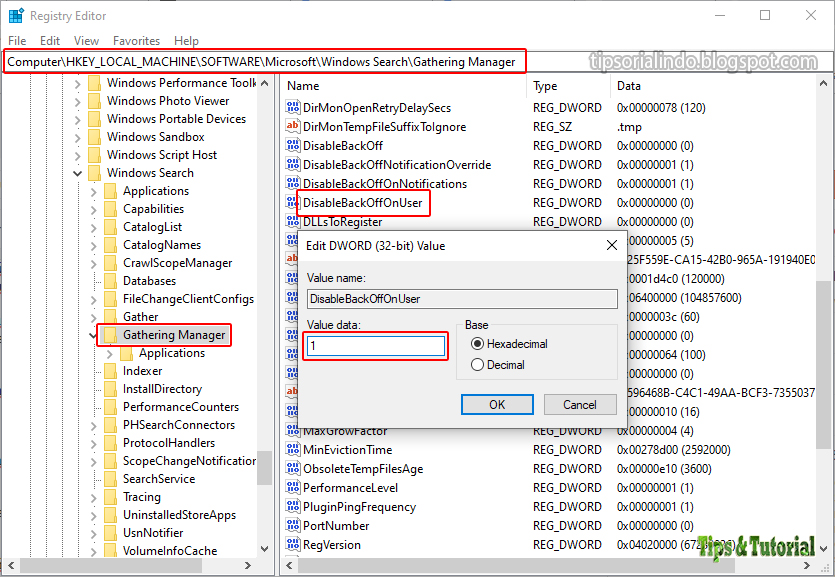 Cara Memaksa Windows Indexing Service Berjalan Lebih Cepat Tips