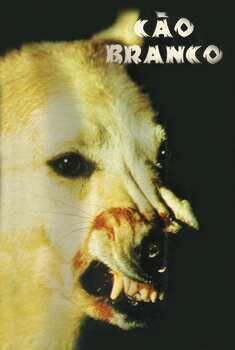 Cão Branco Torrent - BluRay 1080p Dual Áudio