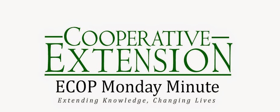 ECOP Monday Minute