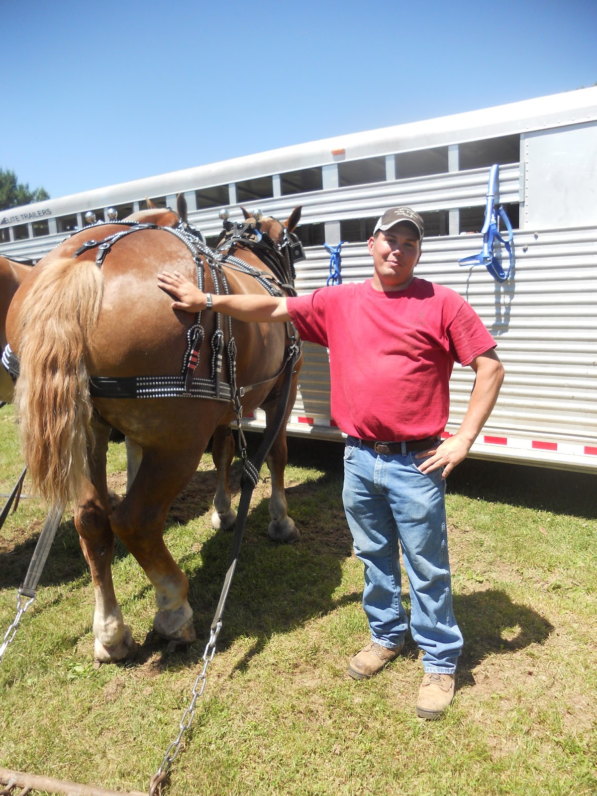 Pulverized Concepts Draft Horse Action In Chetek, Wisconsin
