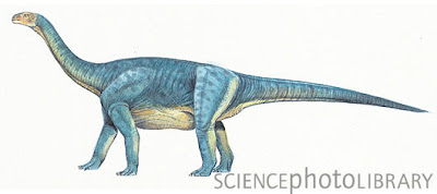 Melanorosaurus