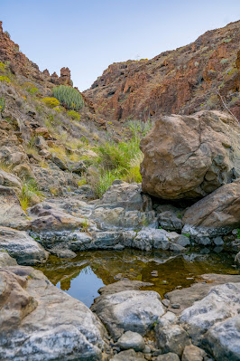 Wanderung zu den Wasserfällen im Barranco del Toro | San Agustín/Maspalomas | Wandern auf Gran Canaria 09