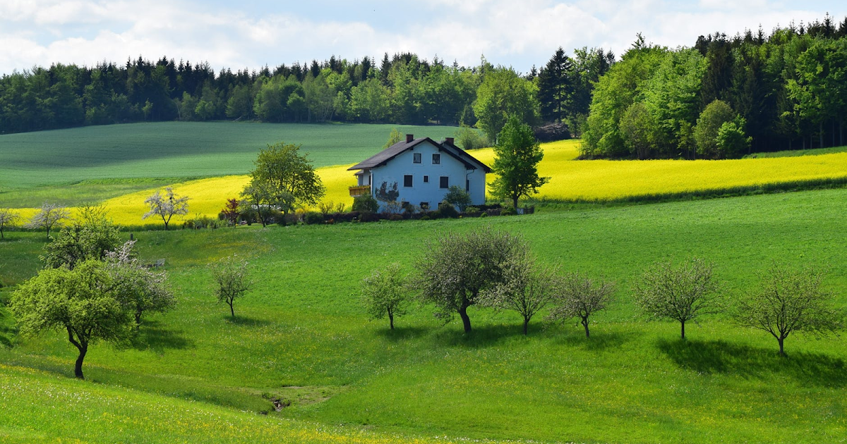 Improving Your Internet Connectivity in Remote Areas