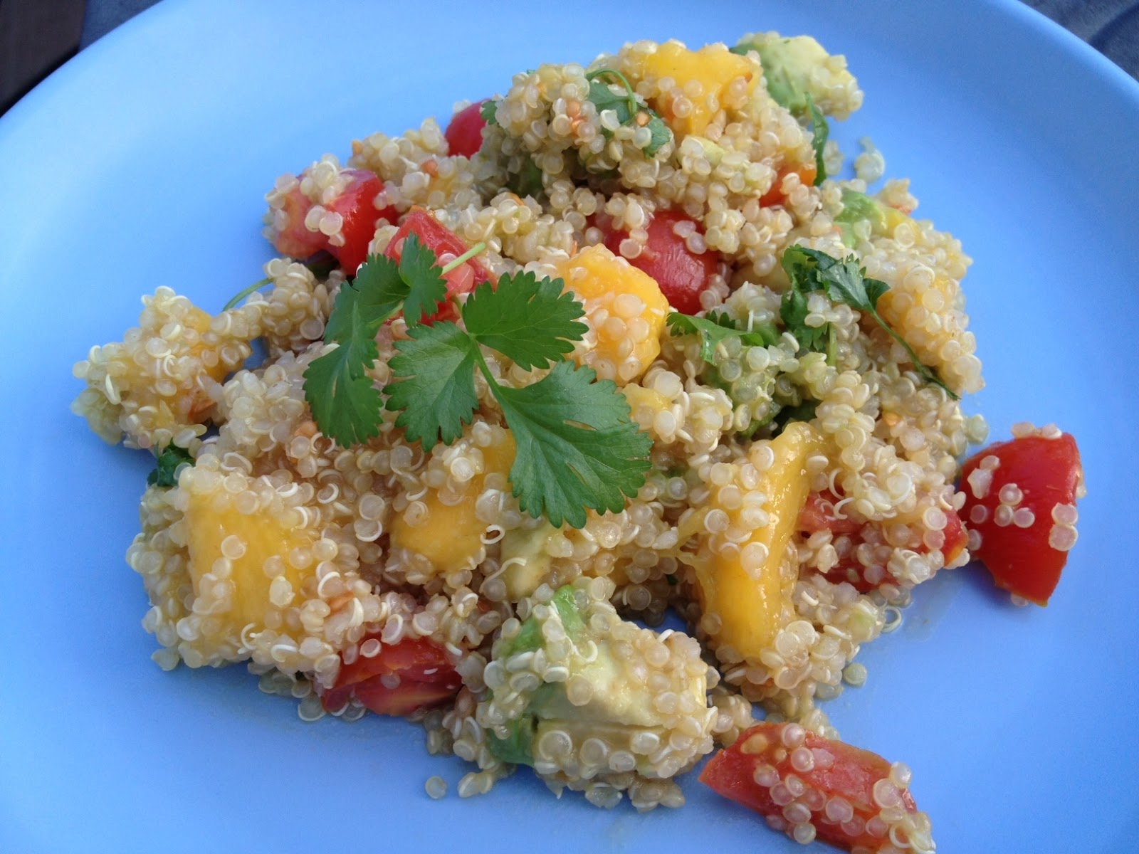 Quinoa Salad with Mango, Avocado, & Tomatoes TNC Endurance